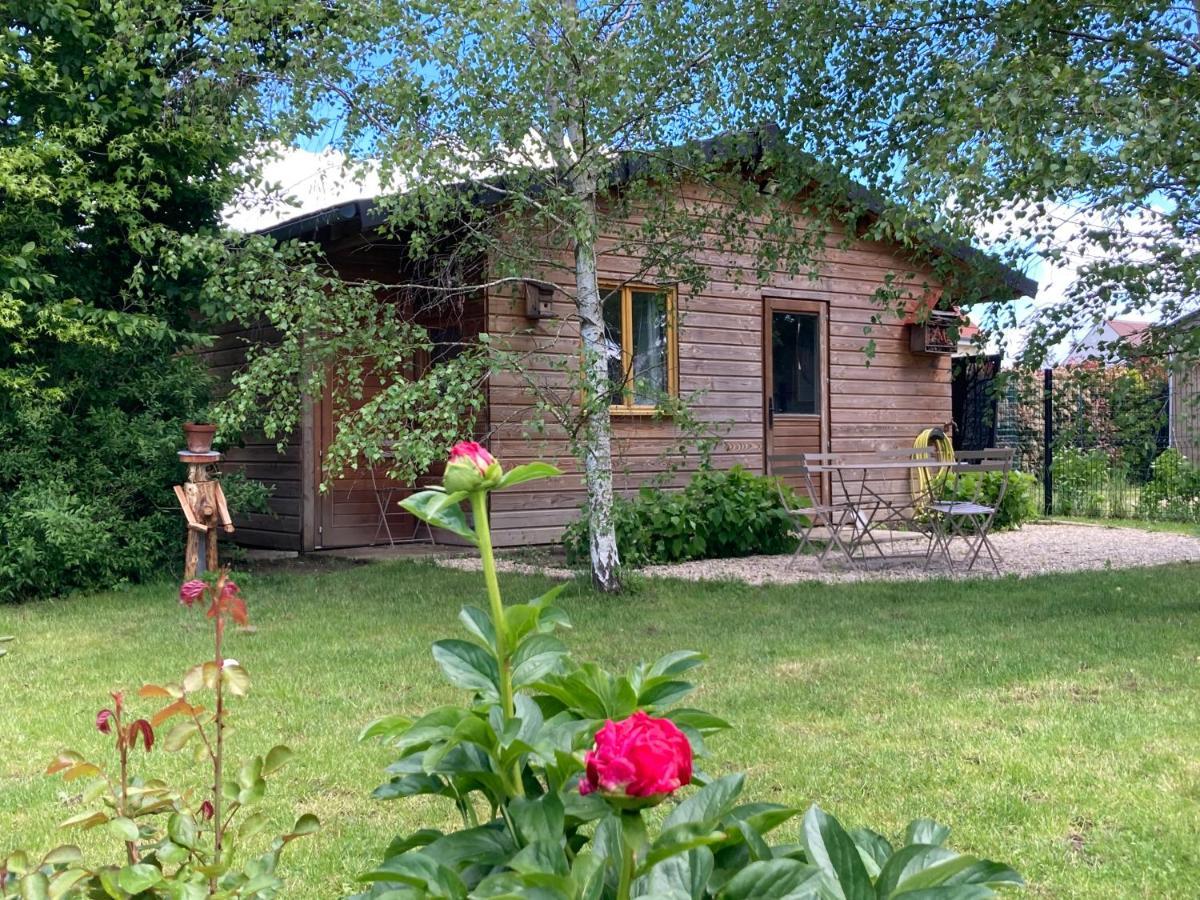 Chalet Proche Orleans Centre Saint-Jean-le-Blanc Exteriör bild